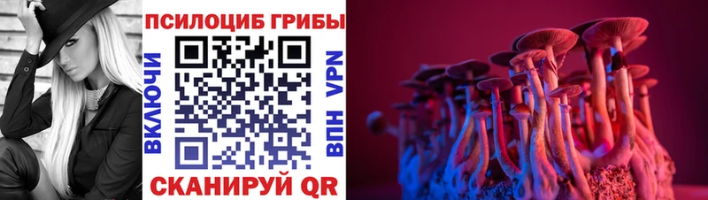 Псилоцибиновые грибы GOLDEN TEACHER  цены   Томмот 